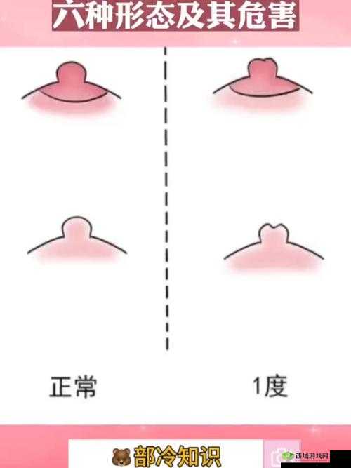 为什么有些女性的乳头会有小孔？这些小孔是做什么用的？