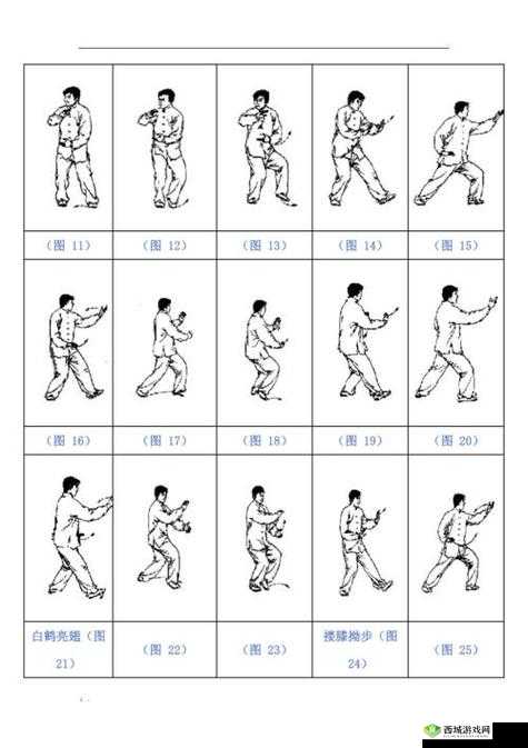 二十四式太极拳口令词详解：掌握每一式动作要领，提升太极修炼效果