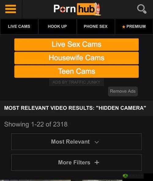 Pornhub 上最新的在线观看，你绝对想不到