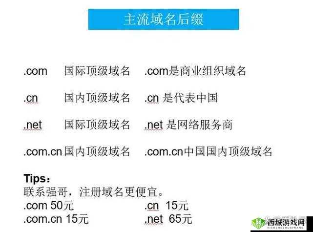 17c最新域名查询网：如何快速找到并注册你心仪的域名？详细步骤与实用技巧分享